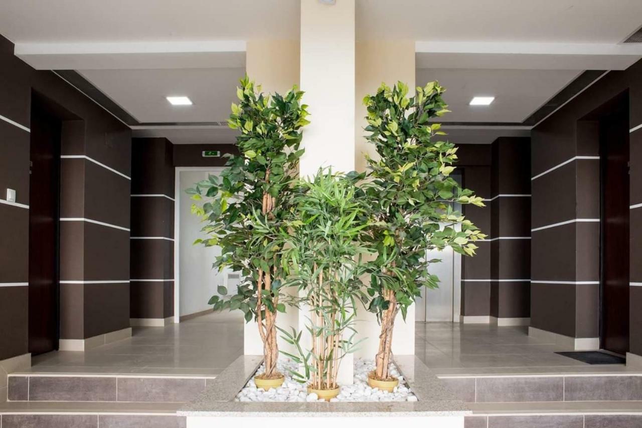 Suite Life Braşov Dış mekan fotoğraf